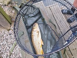 One of the many fish my husband and son caught