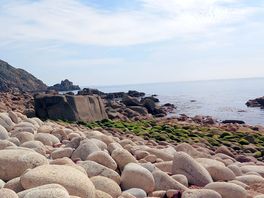 St loy cove