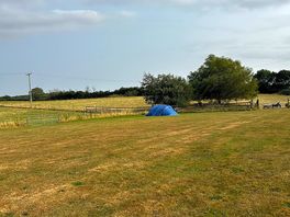 Site