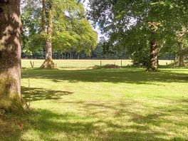 The site