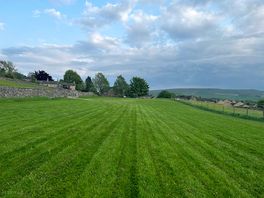 Site