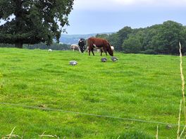 Neighbours