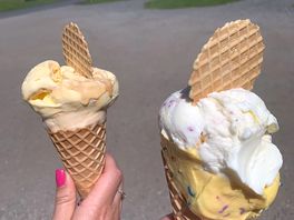 Icecreams from the parlour