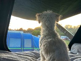 Dog friendly, what’s not to love.