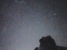 No light pollution round there