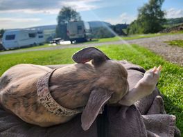 Enjoying the view