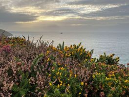 Nearby view