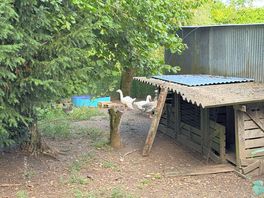 Our neighbours!