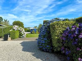 Beautiful planting all over the site and in between pitches