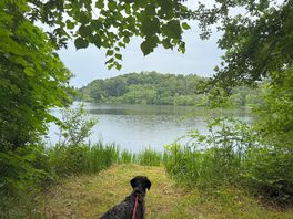 Walk around the meres