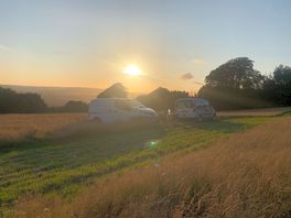 Evening sun