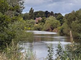 Beautiful from the river bank