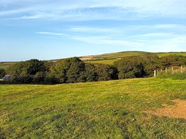 View from the tent