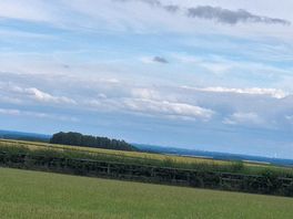 The view