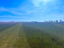 Lovely views