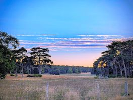 Beautiful sunset