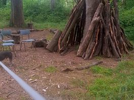 Den in woods