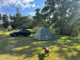 Spacious pitch