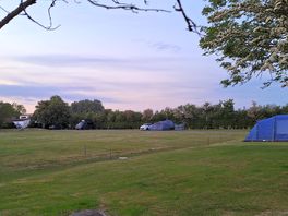 Spacious pitches.