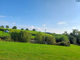 Grass tent pitches around our lovely pond