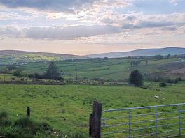 Looking out over fields
