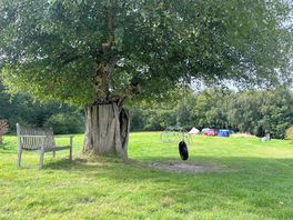 Nature’s play area