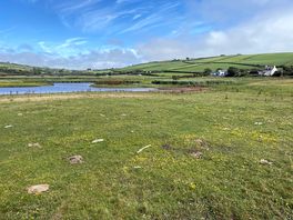 Looking towards camp from sea