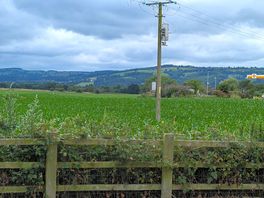 View from driveway.