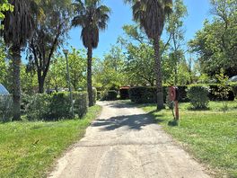 Plot views