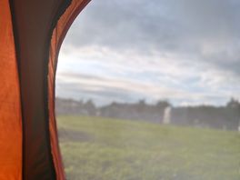 Window view