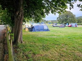 Site view