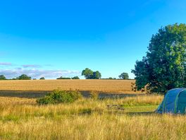 View from Goosegrass, Daisy and Foxglove pitch