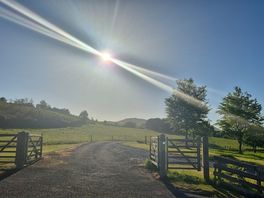 View from the front of the site