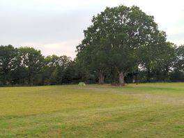 Plenty of space for my tent!