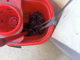 Mop