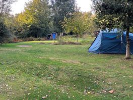 Site