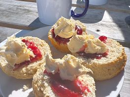 The cornish way