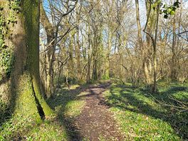 Beautiful sunny afternoon walk!