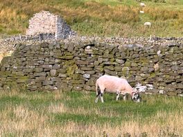 Walk from village