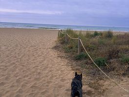 Strand sehr nah