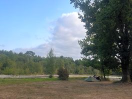 Lovely view