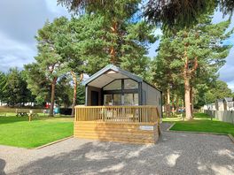 Camping pod surrounded by trees