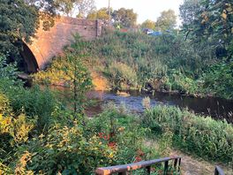 Bridge & swimming area