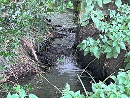 My daughters loved this mini waterfall