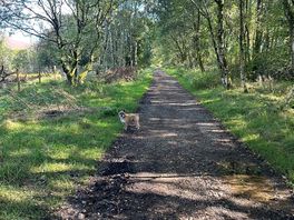 Railway walk to keswick