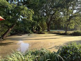 Pond near lodge