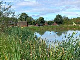 Fishing pond.