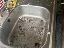 Bird droppings in the communal washing up area