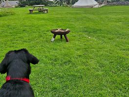 Zeus was our favourite visitor!