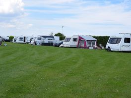 Grass pitches